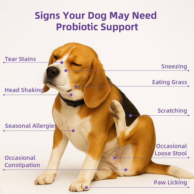 Hapwag 8-In-1 Multivitamin Soft Chews for Dogs – Probiotics, Gut & Immune Support – Pork Flavor – 90 Treats