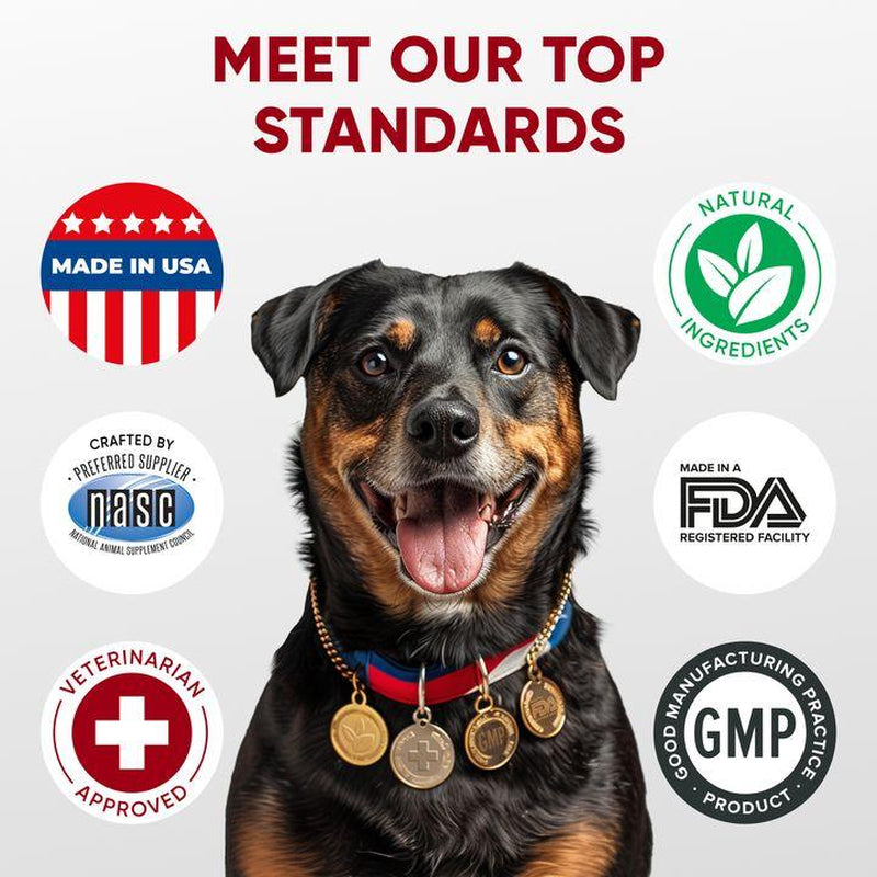 Pawzitive Pets Probiotic Chews for Dogs – Digestive and Immune Support – Natural Enzymes – Gut Health & Itchy Skin Relief – Made in USA