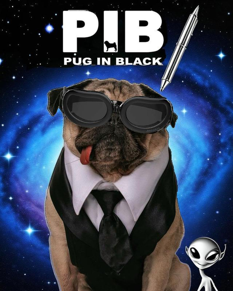 【Freeship】Vavopaw Dog Goggles Small Dog Sunglasses with Adjustable Band, Waterproof Windproof Snowproof Cool Glasses for Puppy and Cat, Black Dogaccessories Summer Dog Fashion Outdoor