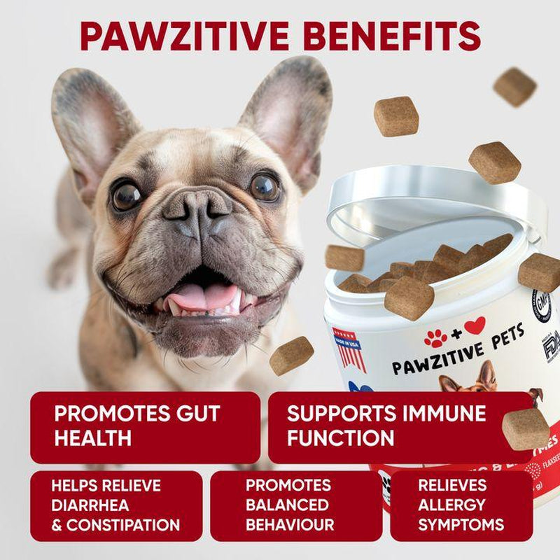 Pawzitive Pets Probiotic Chews for Dogs – Digestive and Immune Support – Natural Enzymes – Gut Health & Itchy Skin Relief – Made in USA