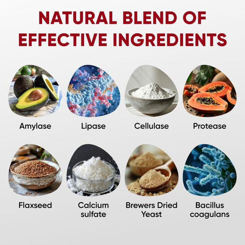 Pawzitive Pets Probiotic Chews for Dogs – Digestive and Immune Support – Natural Enzymes – Gut Health & Itchy Skin Relief – Made in USA