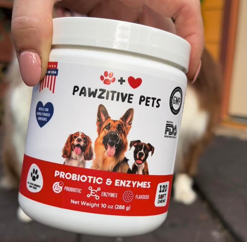 Pawzitive Pets Probiotic Chews for Dogs – Digestive and Immune Support – Natural Enzymes – Gut Health & Itchy Skin Relief – Made in USA